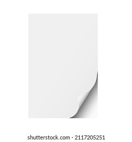 Sheet of white A4 paper with curled corner and soft shadow. Element for ad. Vector illustration.