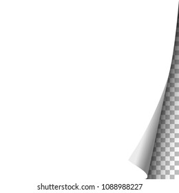 Sheet of white paper with curled corner and transparent background under it. Vector template paper design.