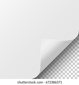 Sheet of white paper with curled corner and soft shadow. Element for ad. Vector illustration.