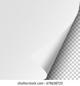 Sheet of white paper with curled corner, soft shadow and transparent next page. Element with space for text, ad and other aims. Template paper design. Vector illustration.