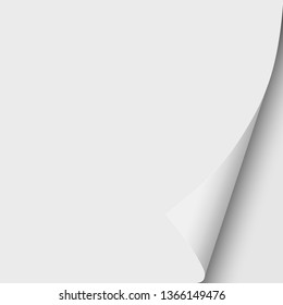 Sheet of white paper with curled lower right corner and white next page. Vector paper template.
