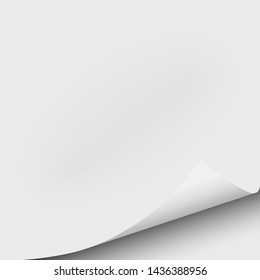Sheet of white paper with curled lower right corner. Element with space for text, ad and other aims. Vector template paper design.