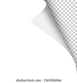 Sheet of white paper with curled upper right corner and soft shadow on transparent background. Element with space for text and ad. Vector paper template.