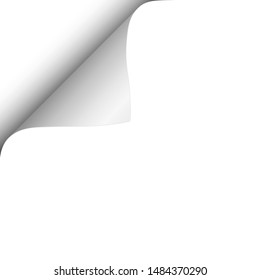 Sheet of white paper with curled upper left corner. Template paper design. Vector illustration.