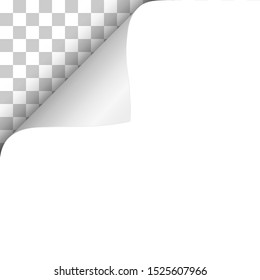 Sheet of white paper with curled upper left corner and transparent background under it. Template paper design. Vector illustration.