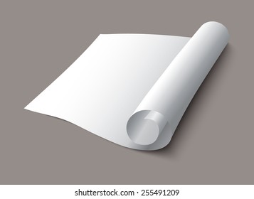 Sheet of white paper wrapped in a roll. Editable vector illustration.