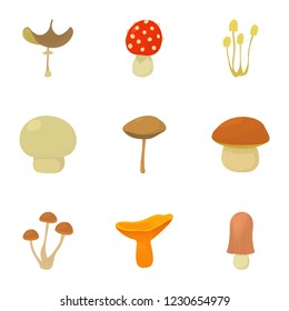 Shelf fungus icons set. Cartoon set of 9 shelf fungus vector icons for web isolated on white background