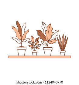 shelf with houseplants scene