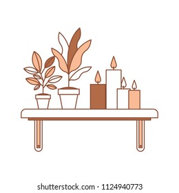 shelf with houseplants scene