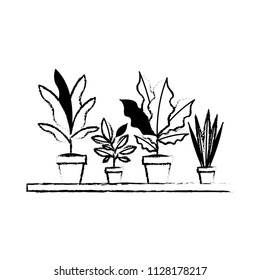 shelf with houseplants scene