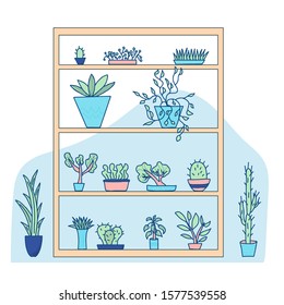 Shelf with indoor plants. Set of potted house plants. Collection of hand drawn houseplants. Vector doodle illustration.