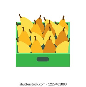 Shelf with pears in supermarket grocery store, vector retail market isolated icon. Tray with tropical fruits, fresh plants in container or package