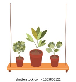shelf plants isolated icon