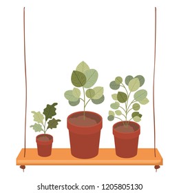 shelf plants isolated icon