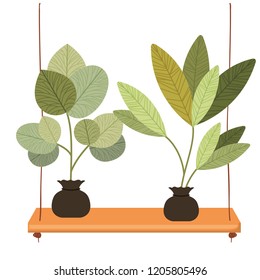 shelf plants isolated icon
