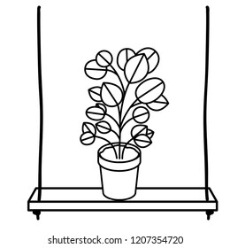 shelf plants isolated icon