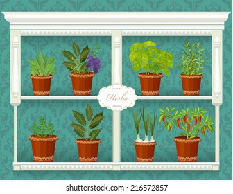 shelfs with collection of herbs in a flowerpots at market