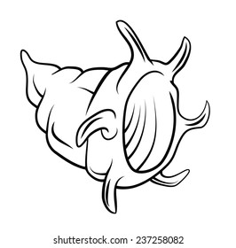 Shell