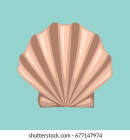 shell