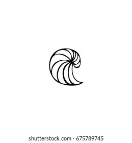 Shell. Abstract  Spiral.