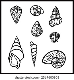 Shell animal aquarium beach marine line art