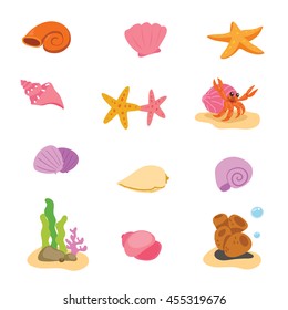 shell beach vector design