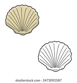 shell cartoon vector illustration. Simple design outline style. You can change color you want. Easy to edit