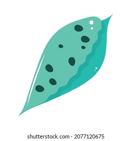 shell case of crustacean icon