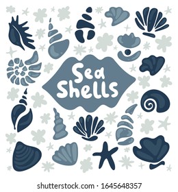 Shell collection - vector cartoon silhouette illustration. Set of various blue and grey sea shells and starfish. Tropical sea shell flat icons set