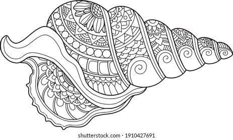 shell coloring page design clear background, mandalas design, and print design