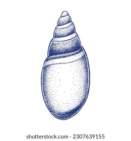 Shell or Conch Hand Drawn Illustration in Pointilism Technique.