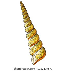 shell curl style pattern doodle  black and white outlines with fine patterns color scheme