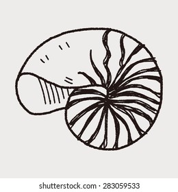 shell doodle