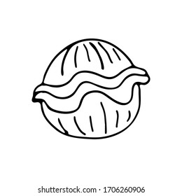 Icono de doodle de shell. Ilustración vectorial de línea dibujada a mano aislada en fondo azul para el logotipo, infografía, sitio web, menú o diseño de paquete.