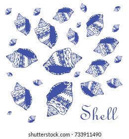 shell drawing illustration