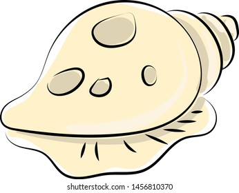 Shell drawing, illustration, vector on white background