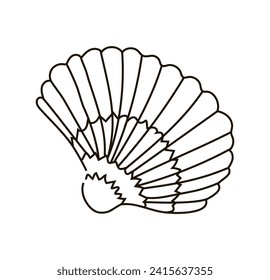 Shell drawn in doodle style. Nautical illustration. Shell drawn by line. Vector illustration isolated on white background