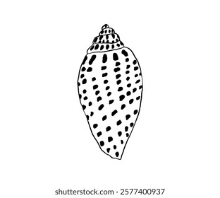 The shell is drawn in a doodle style. Sea, coast, beach. Hand drawn vector illustration.
