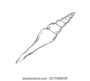 The shell is drawn in a doodle style. Sea, coast, beach. Hand drawn vector illustration.