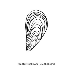 The shell is drawn in a doodle style. Sea, coast, beach. Hand drawn vector illustration.