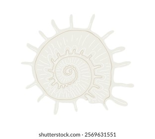 The shell is drawn in a flat style. Sea, coast, beach. Hand drawn vector illustration.