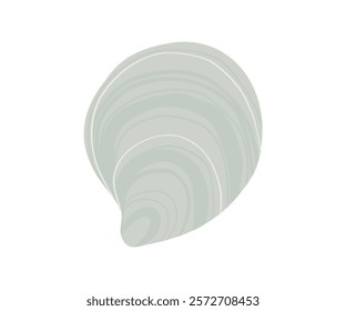 The shell is drawn in a flat style. Sea, coast, beach. Hand drawn vector illustration.