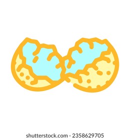 shell egg chicken color icon vector. shell egg chicken sign. isolated symbol illustration