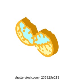 shell egg chicken isometric icon vector. shell egg chicken sign. isolated symbol illustration