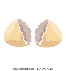 shell egg cracked isolated icon
