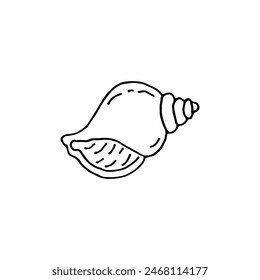 Shell. External skeleton of a mollusk. Doodle. Hand drawn. Vector illustration. Outline.