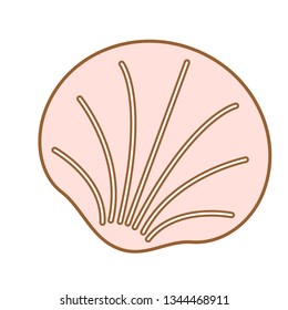 Shell flat illustration on white