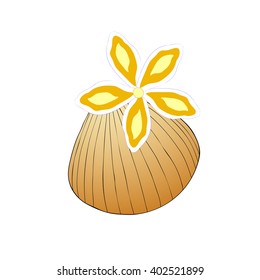 Shell and flower. Isolated illustration on white background.