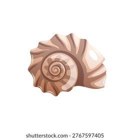 Shell found on the beach during sunset near the ocean, showcasing its spiral shape and smooth surface for beachcombers