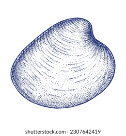 Shell Hand drawn illustration in Pointilism Technique